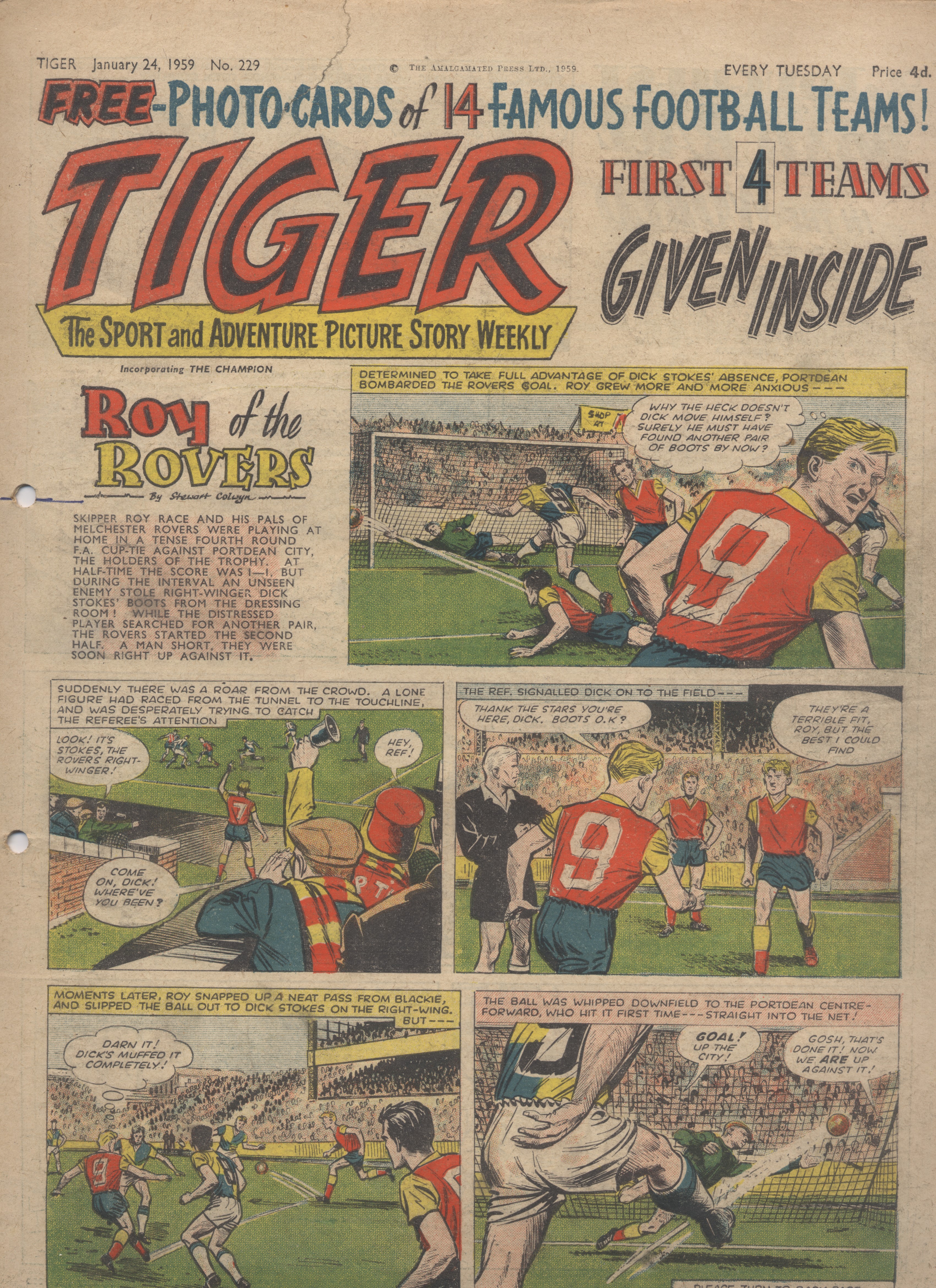 Tiger